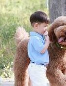 盘点试管长方案降调失败的原因：和同房真没关系别瞎说