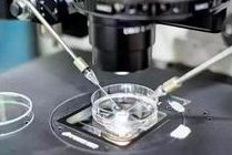 打降调针后卵泡减少，咋回事？医生：正常现象，别慌！