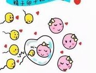 做了结扎手术可以在武安市试管医院做试管婴儿吗？费用是多少