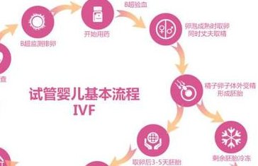 去山东私立医院申请试管做人工授精需要满足什么条件？